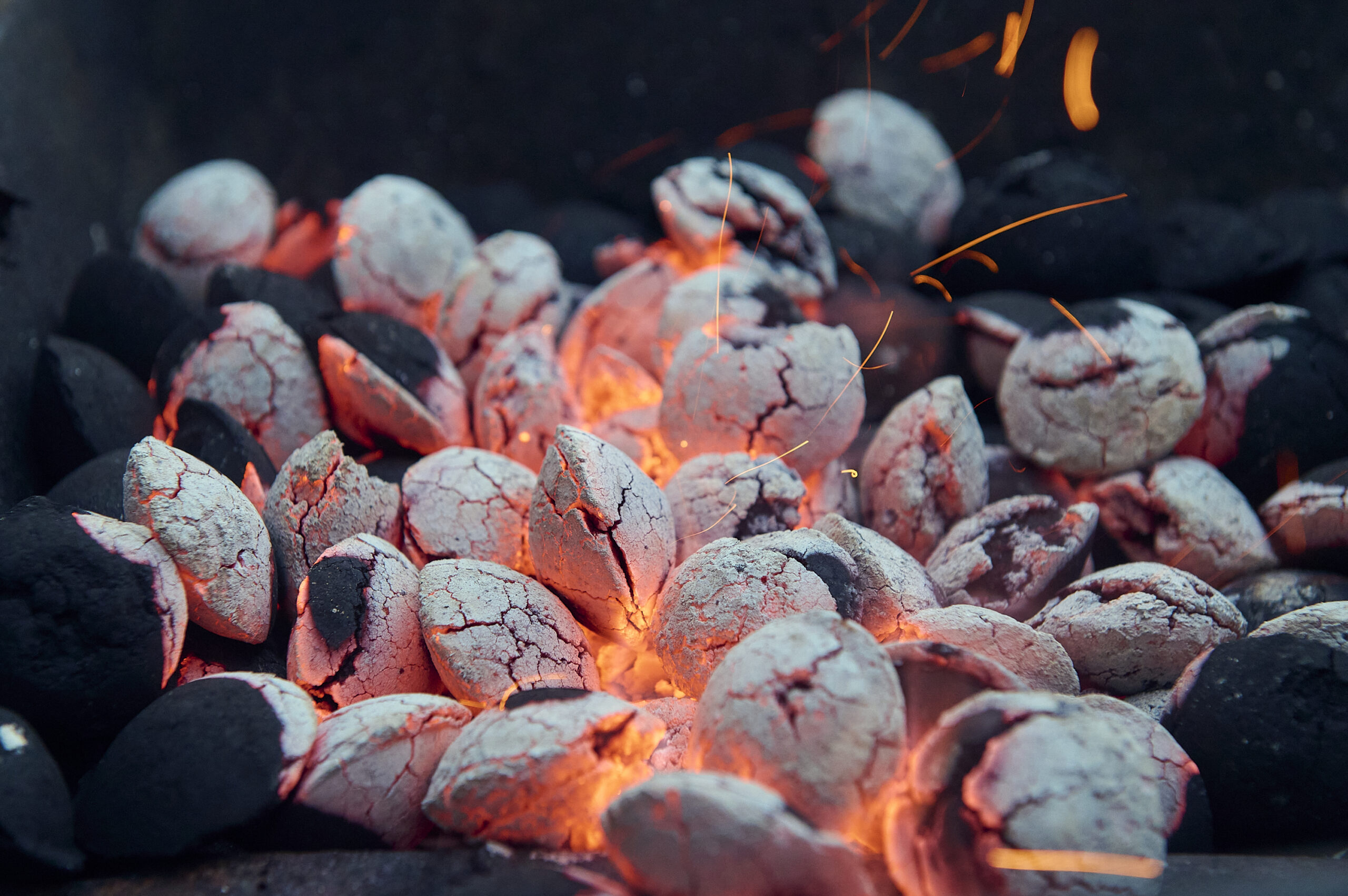 Nasbers Bio Briquettes