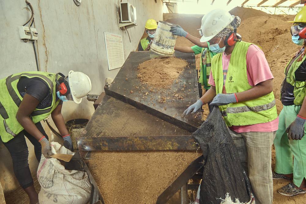 Recovered biomass is prepared at the Nasbers factory.