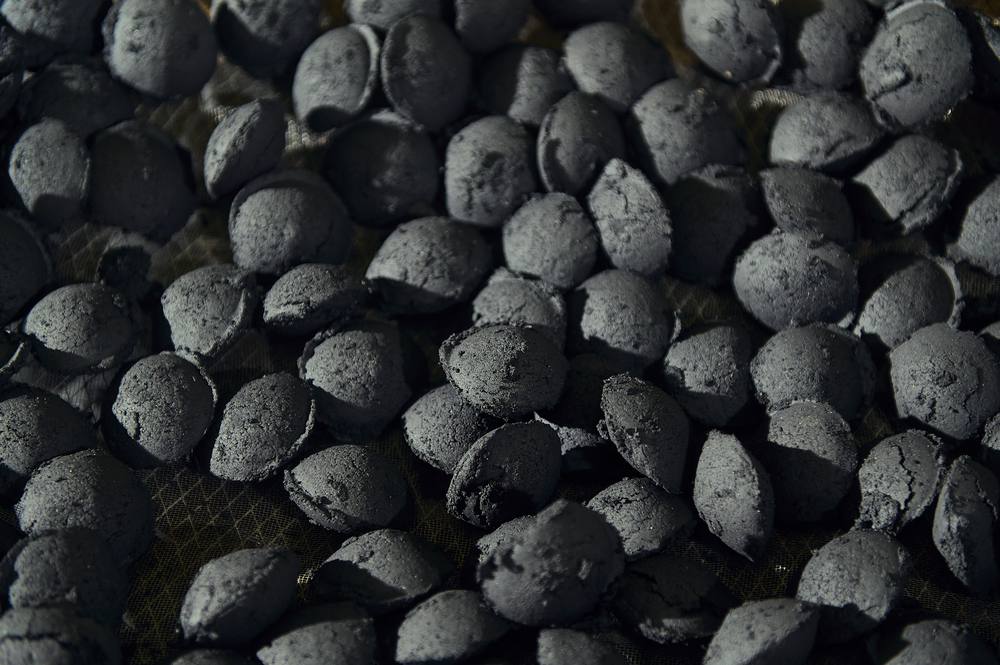 Finished bio briquettes after forming and drying.